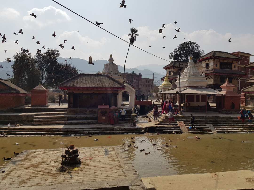 Bansha Gopal Krishna Temple景点图片