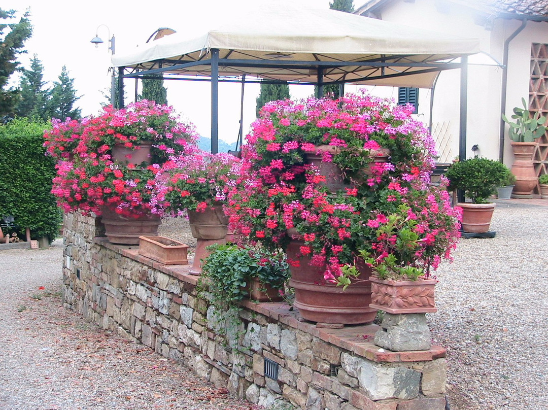 因普鲁内塔酒店住宿-Agriturismo Olmi Grossi