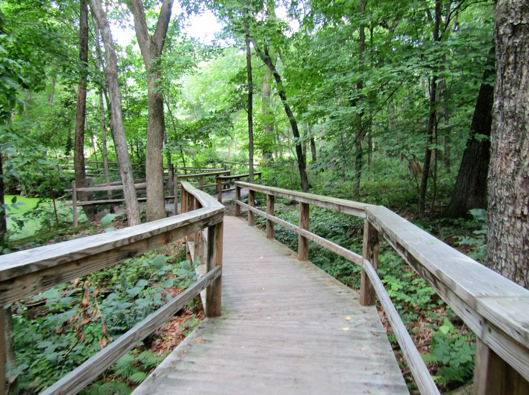 Acton旅游攻略图片