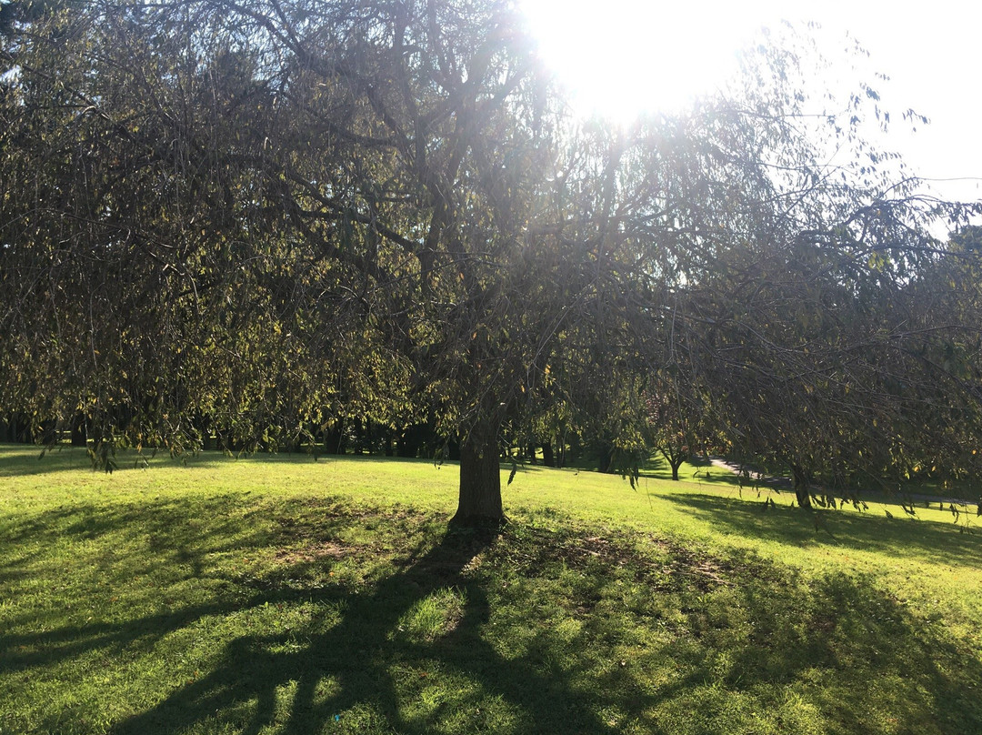 Greenville旅游攻略图片