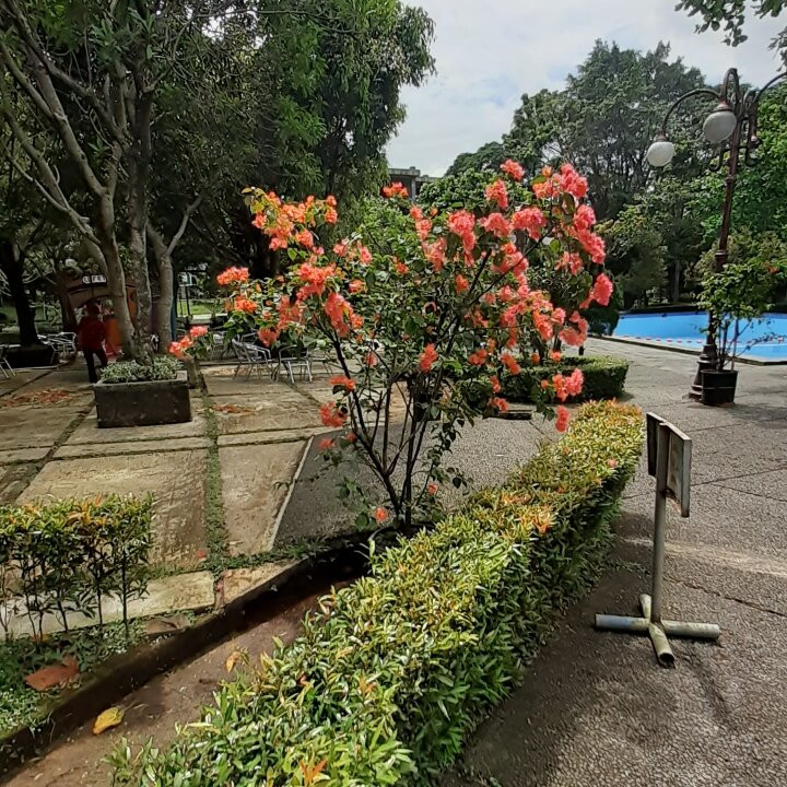 Braja Mustika Hotel & Convention Centre主图