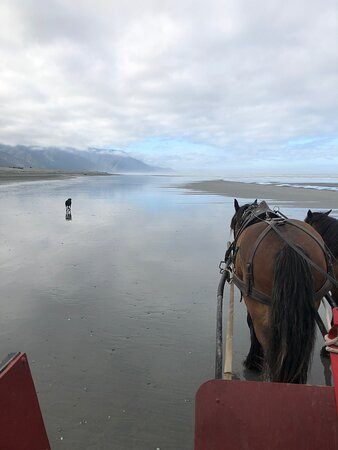 Golden Sands Horse and Wagon Tours景点图片