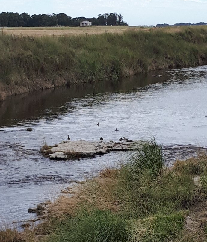 Las 7 cascadas del Arroyo Claromeco-Claromeco必去景点