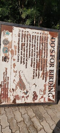 Harike Wetland and Bird Sanctuary-阿姆利则必去景点