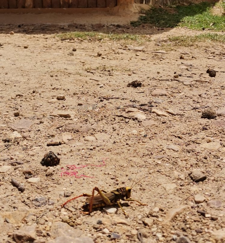 Laguna San Nicolas-卡哈马卡必去景点