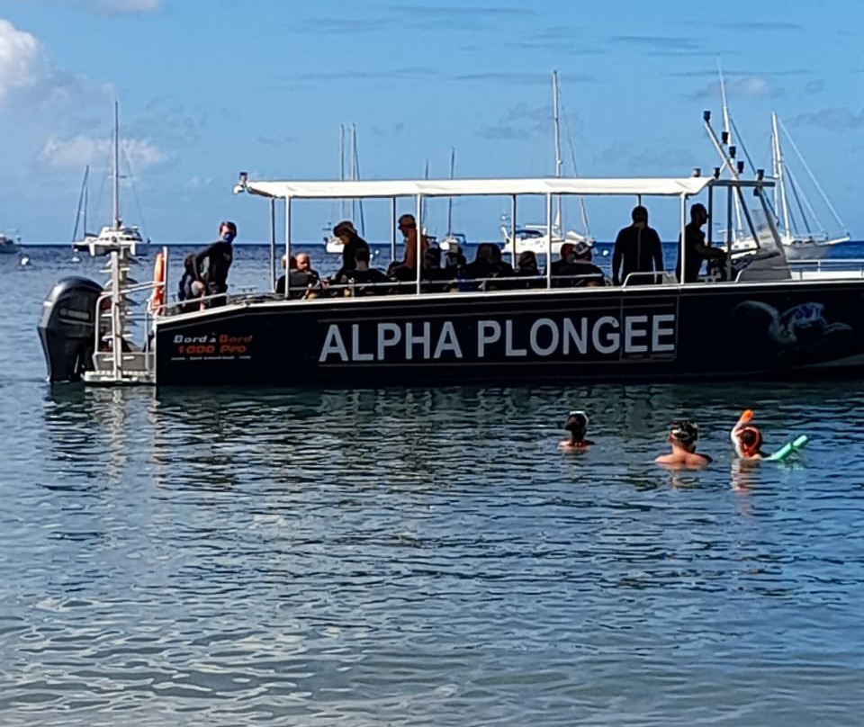 Alpha Plongée Martinique景点图片