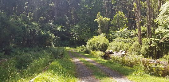 O'Shannassy Trail-华伯登必去景点