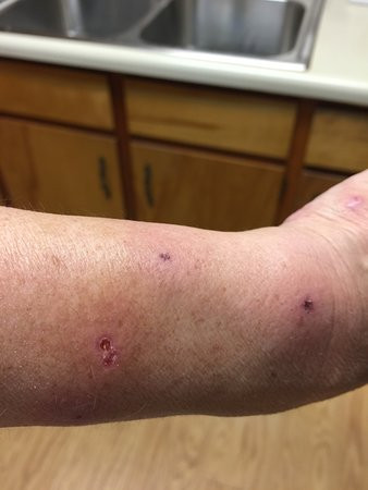 Baymont by Wyndham Forest City主图