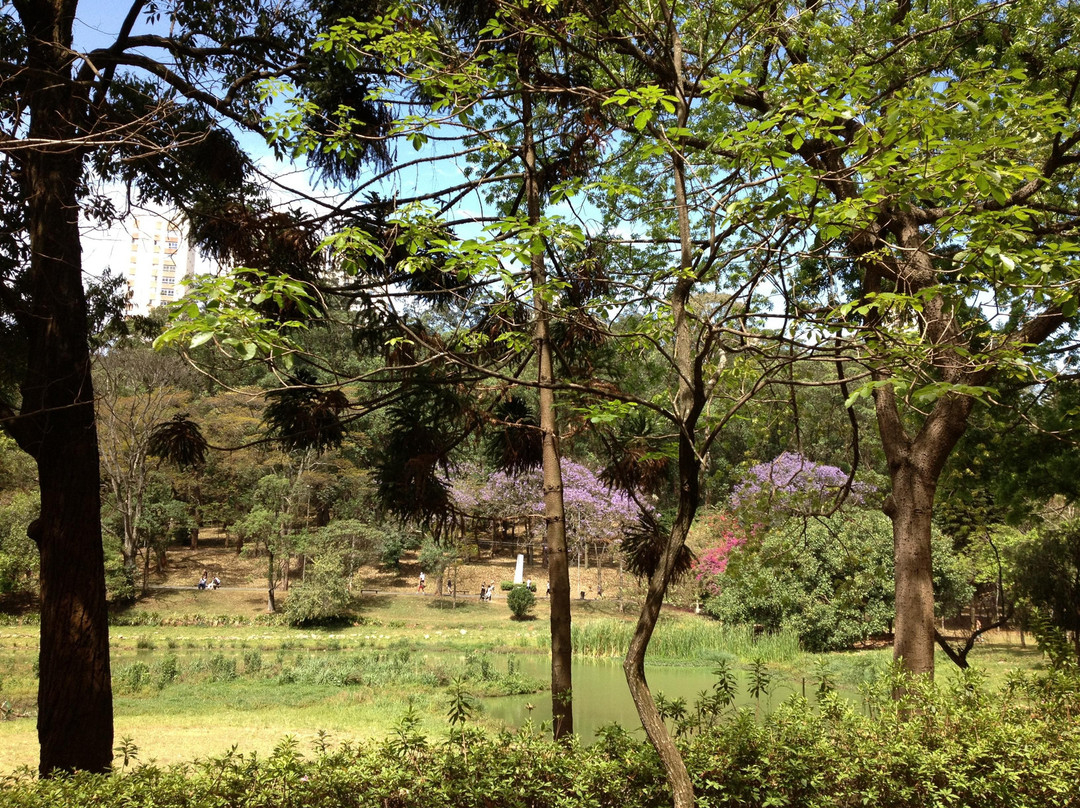 Parque da Aclimação-圣保罗必去景点