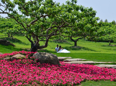 成都植物园-成都必去景点