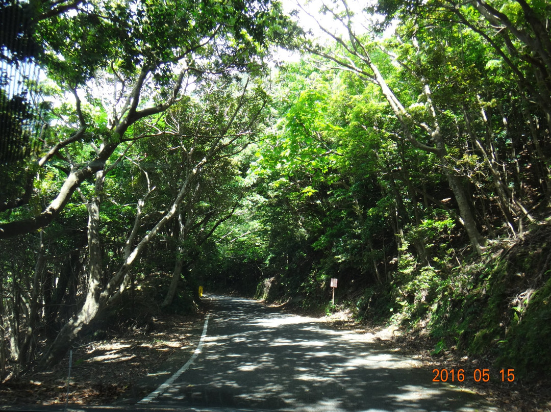 Seibu Trail景点图片