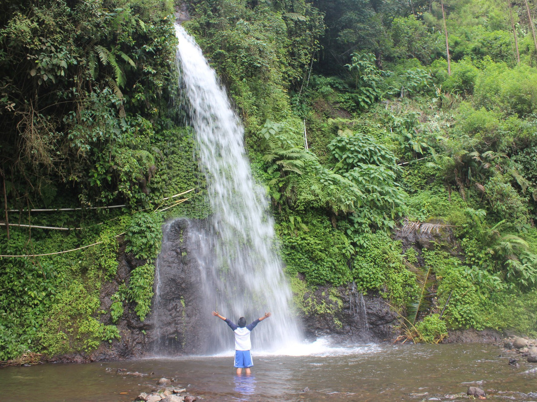 null-Tegal