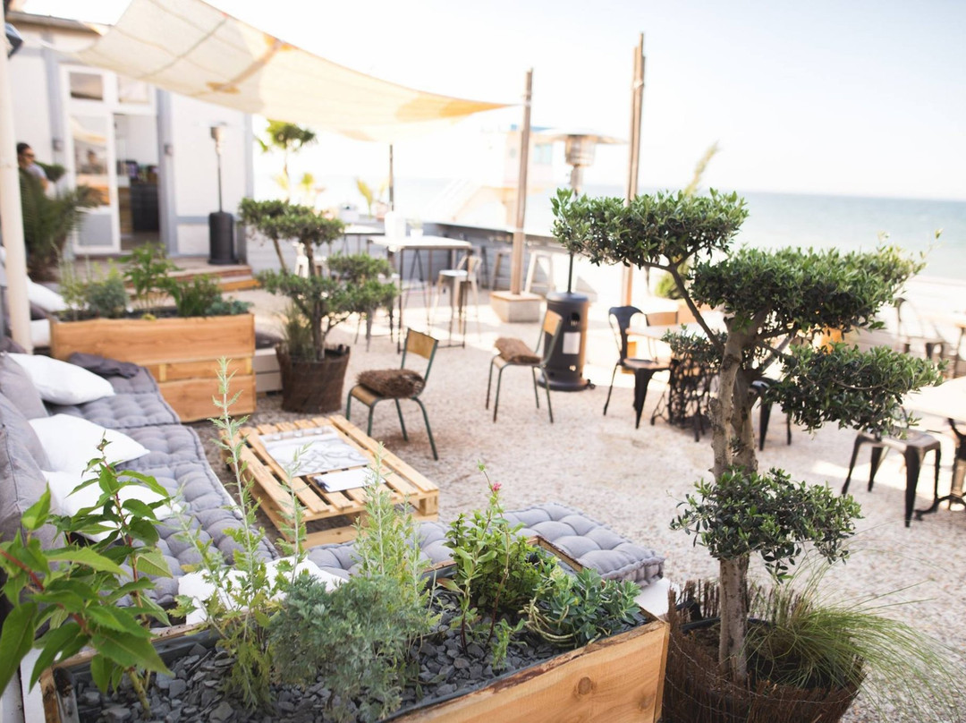 Lion-sur-mer餐馆和美食-La Fabrique - Côte Mer