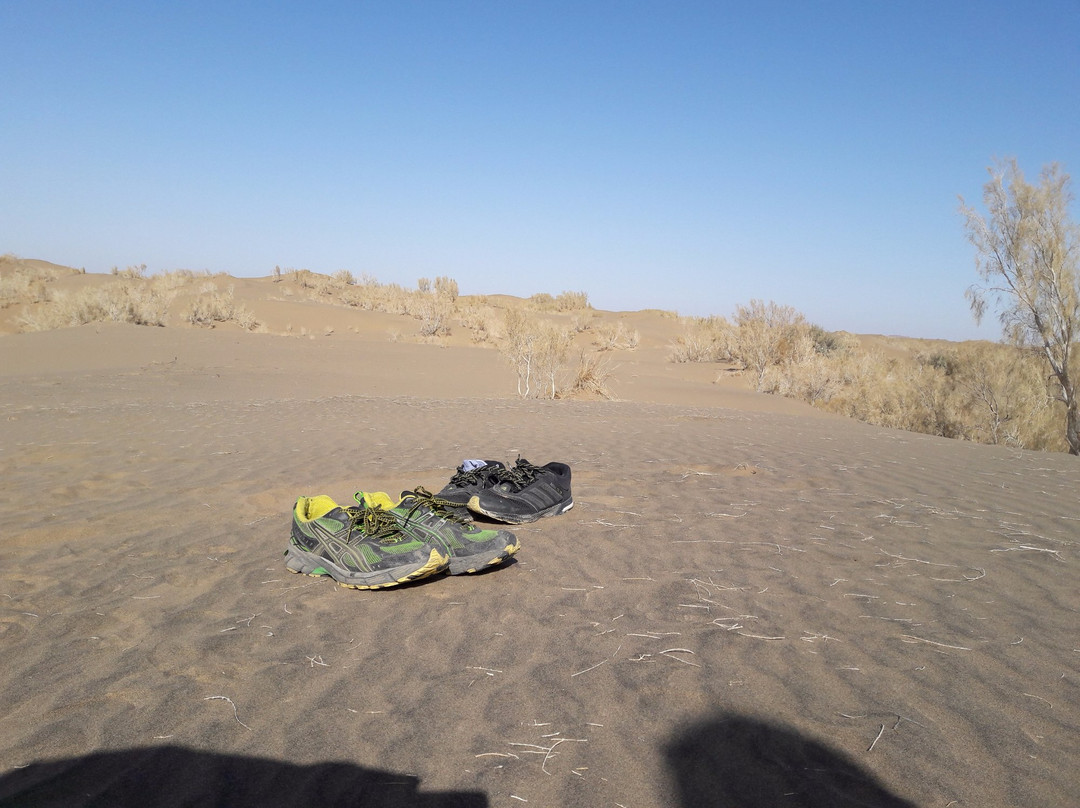 Mesr旅游攻略图片