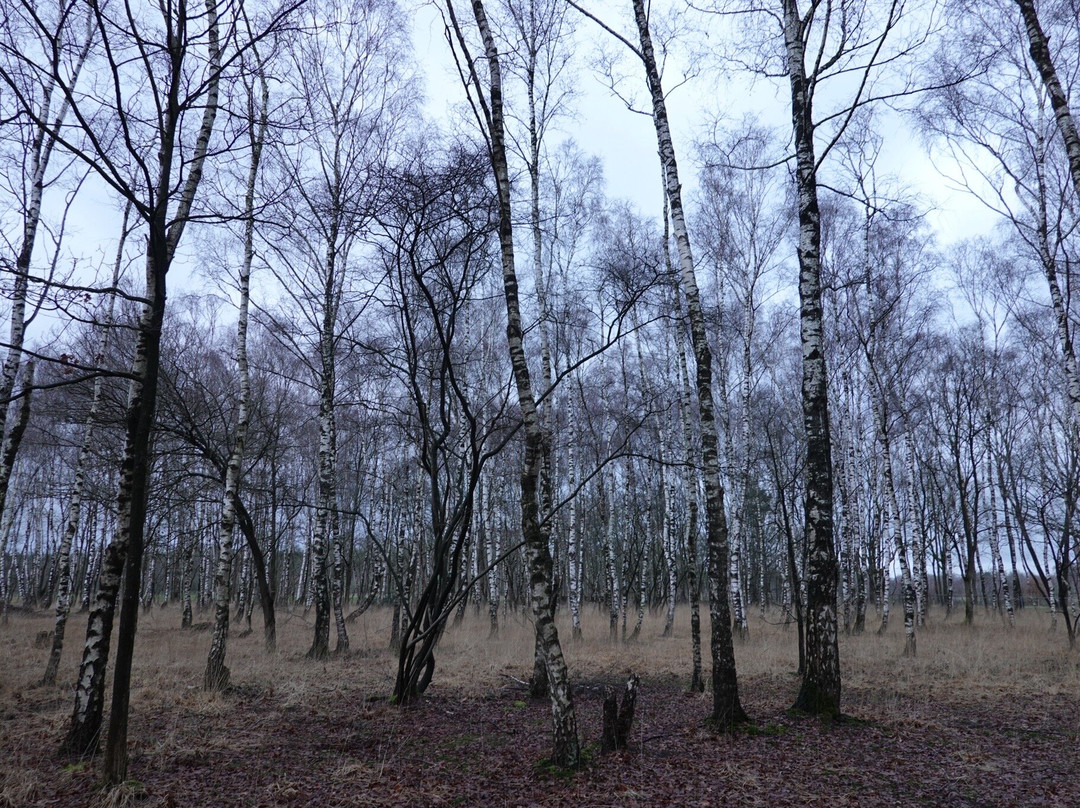 Strijbeek旅游攻略图片