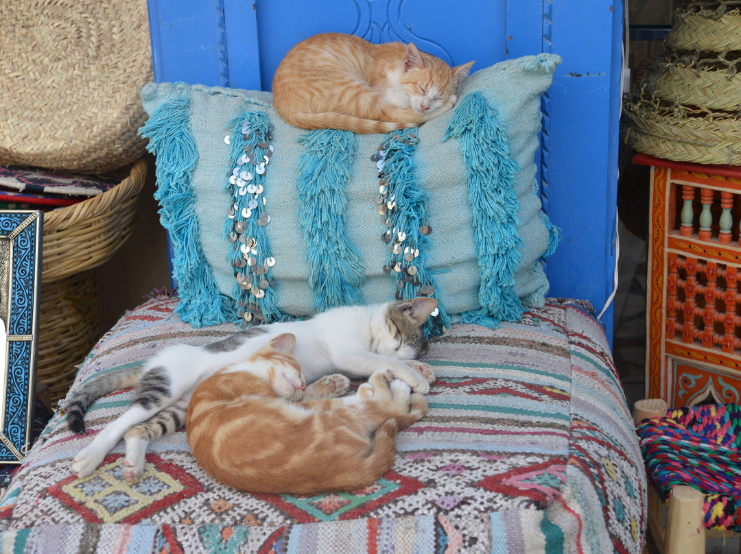 Bouzama旅游攻略图片