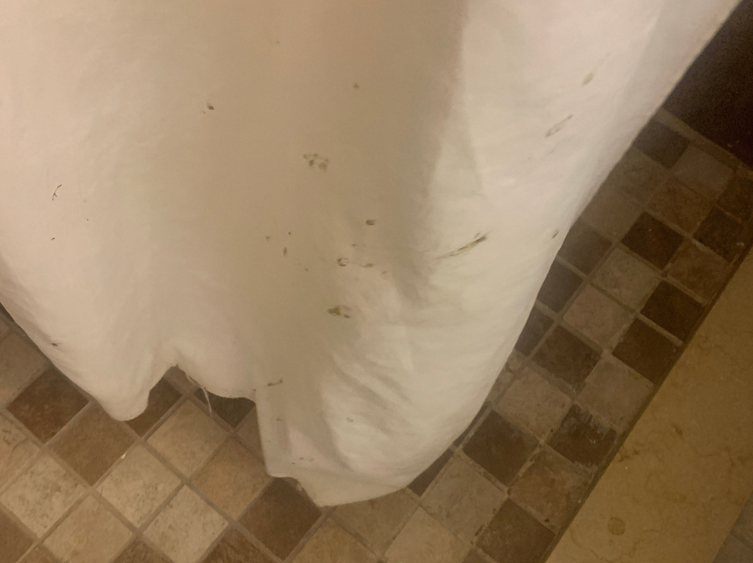 博纳经济型旅馆