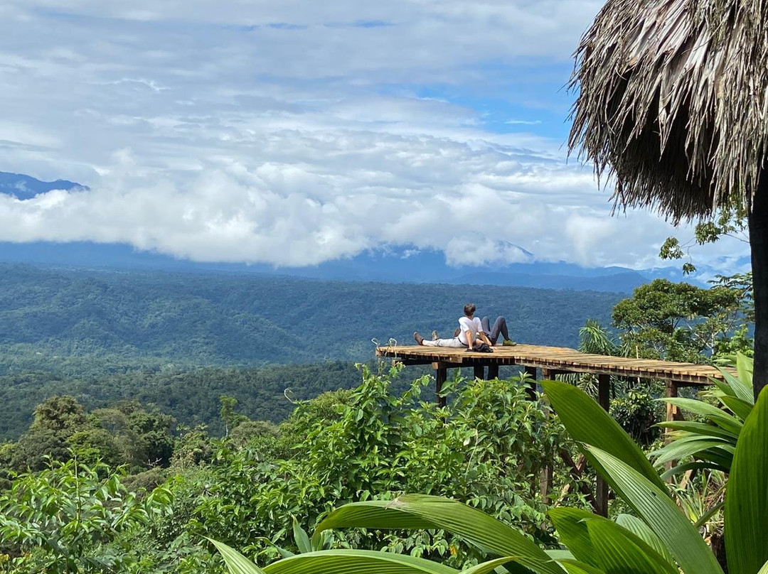 Tamandua Ecolodge & Reserve