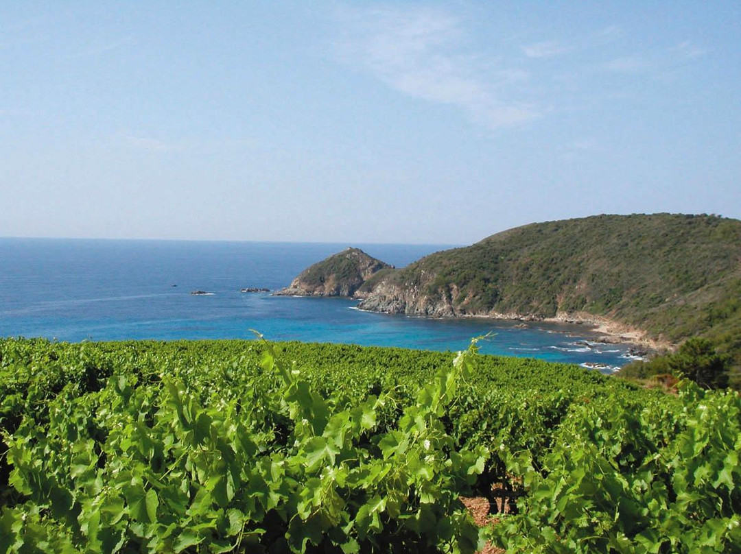 Domaine La Tourraque-Ramatuelle必去景点