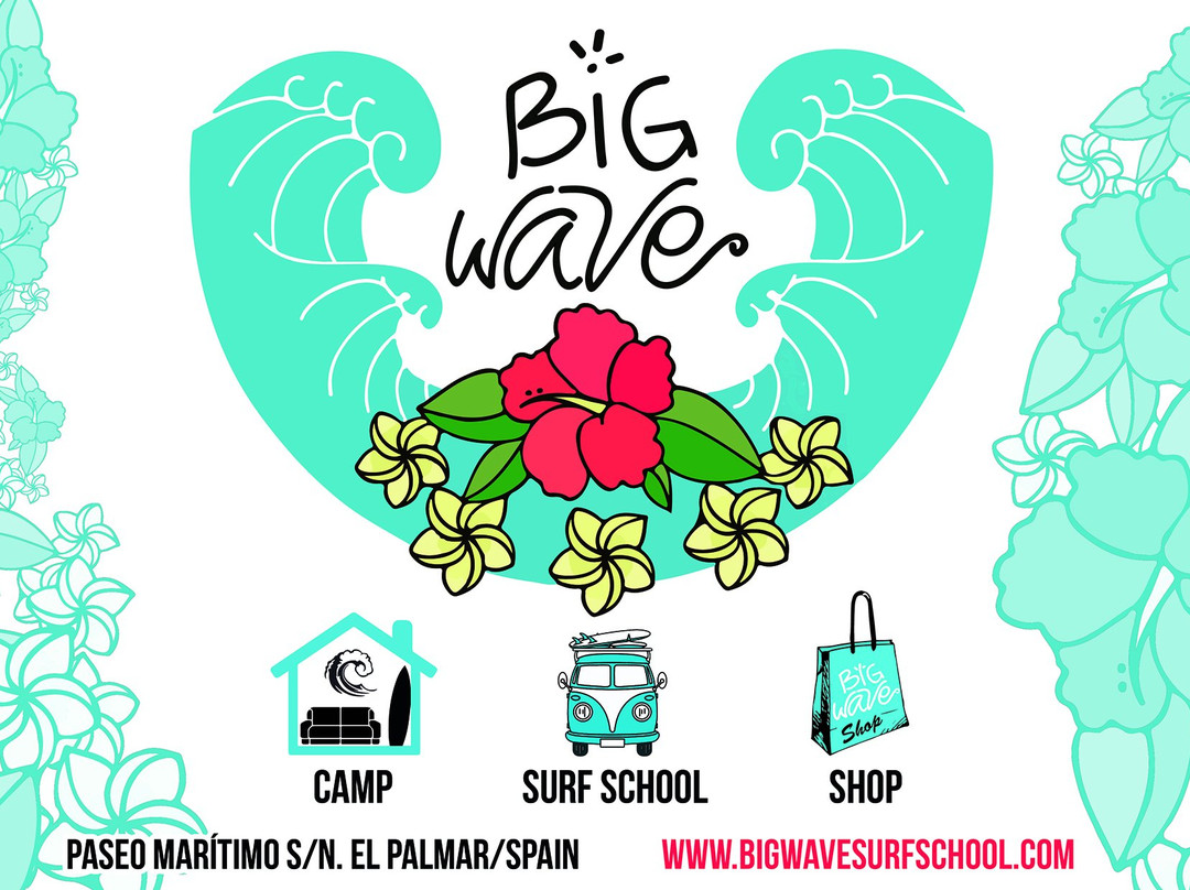 Big Wave Surf School景点图片