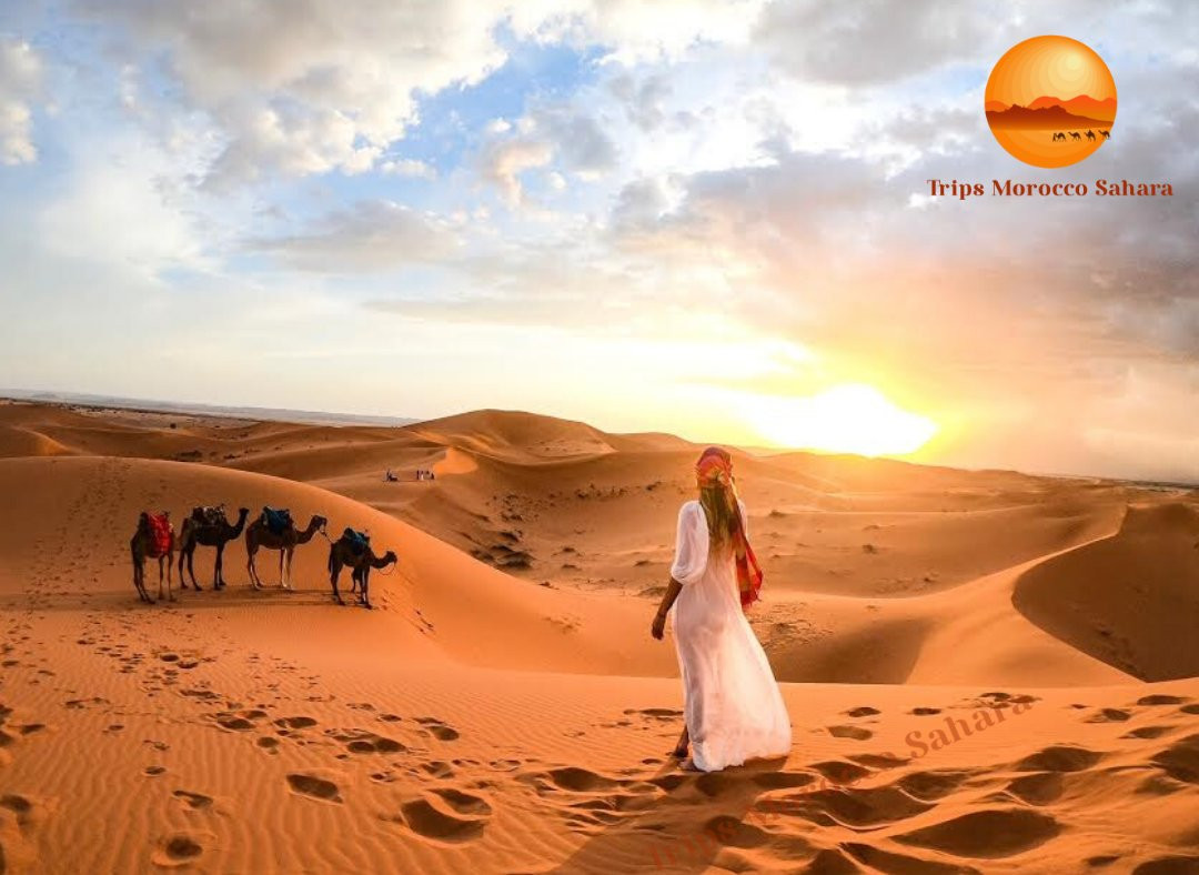 Morocco Kingdom-非斯必去景点