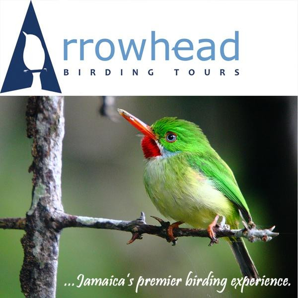Arrowhead Birding Tours景点图片