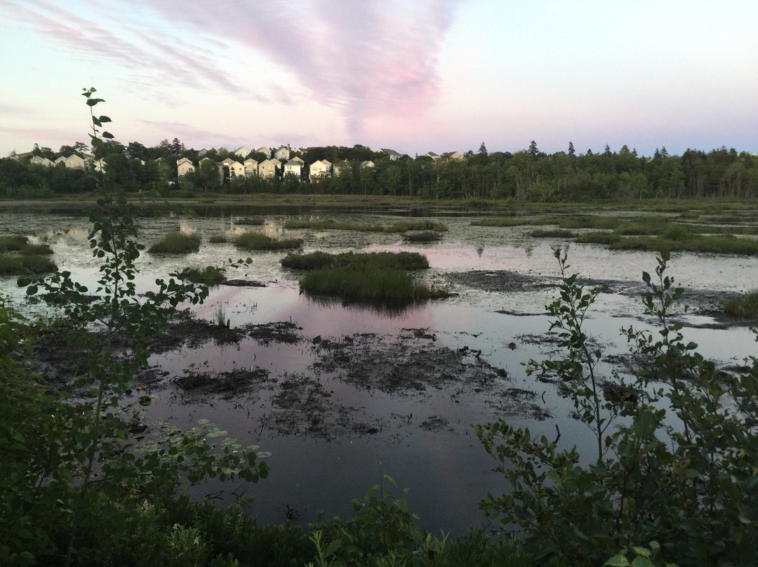 Belchers Marsh Park景点图片