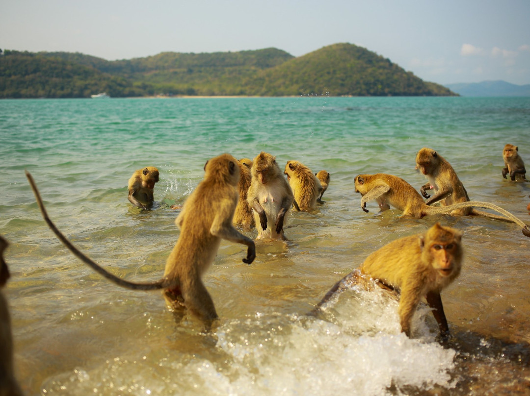 Monkey Island景点图片