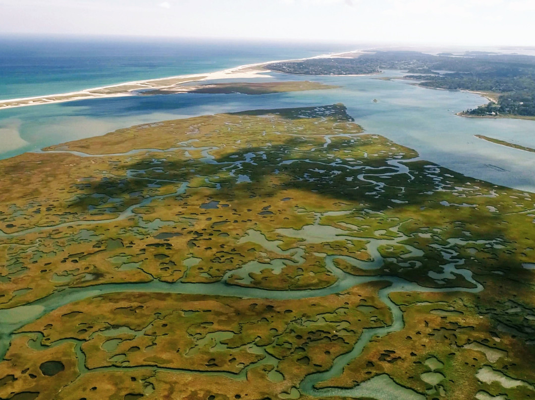 Great Marsh Kayak Tours景点图片