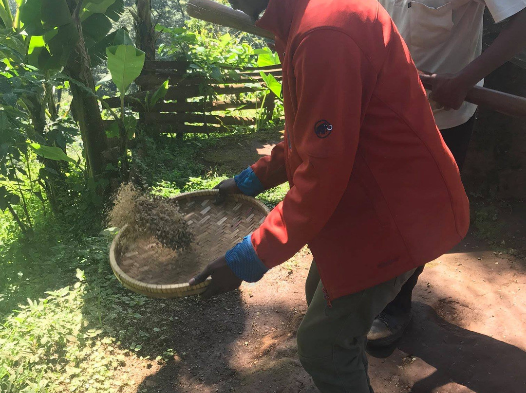 Kisambi Tours-莫西必去景点