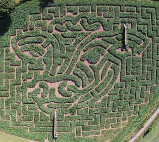 Maize Maze at Cawthorne景点图片