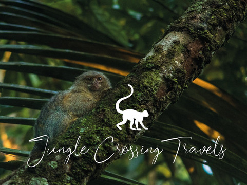 JungleCrossingTravels