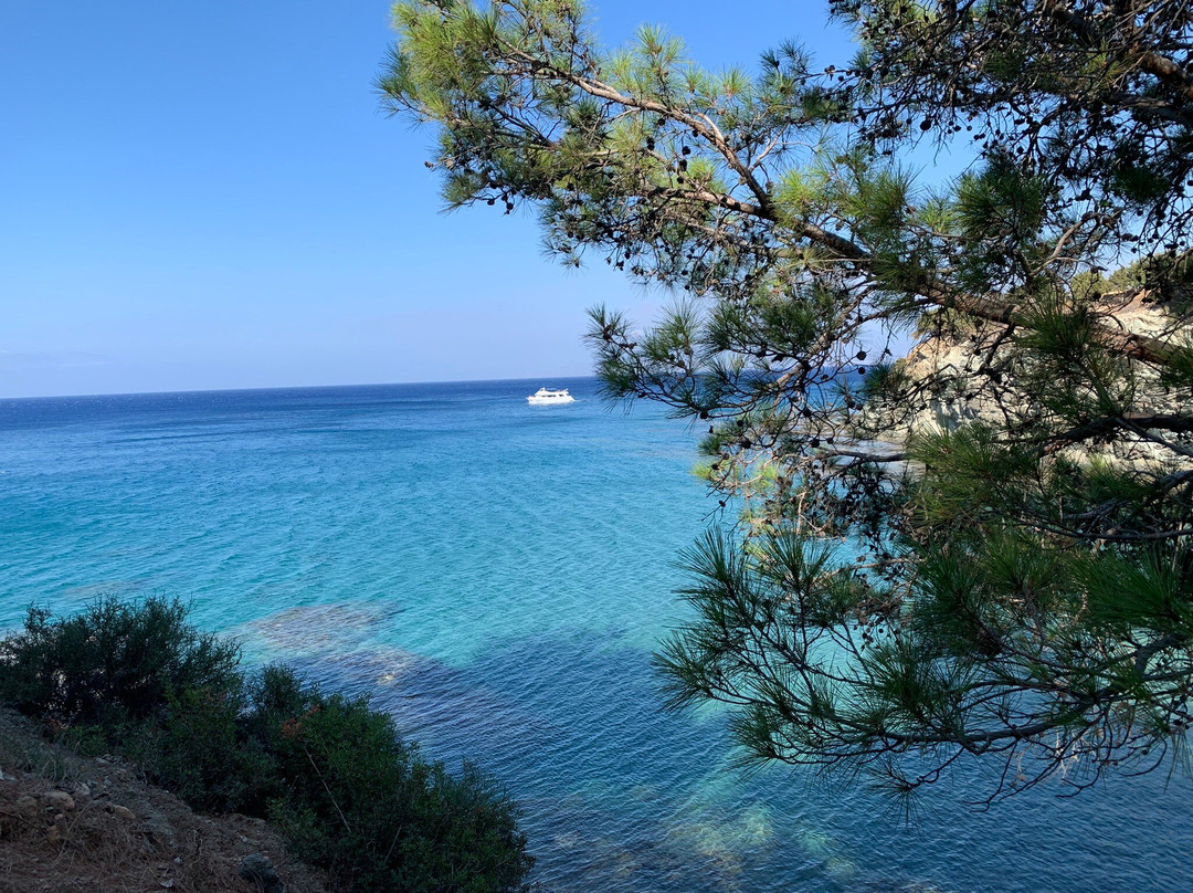 Aphrodite Family Eco Camping