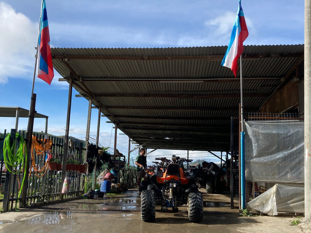 Atv Borneo Adventure (ranau)