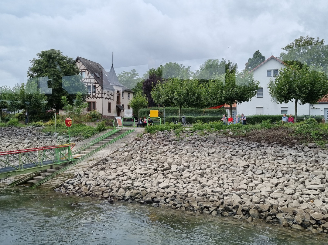 Fahrgastschiff Pfalzerland-施派尔必去景点