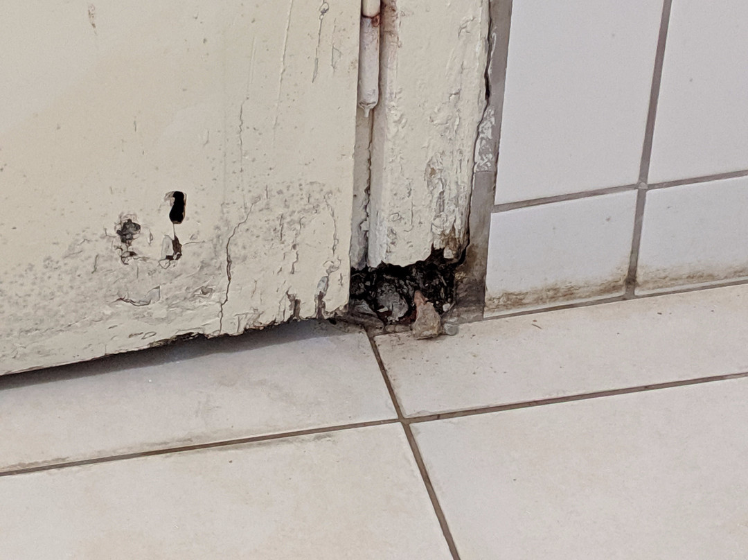 大索尔别墅公寓-Armutalan必去景点