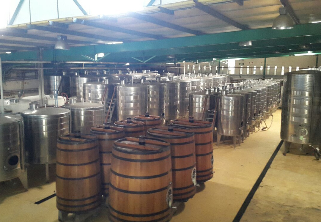 Stellenzicht-斯泰伦博斯必去景点