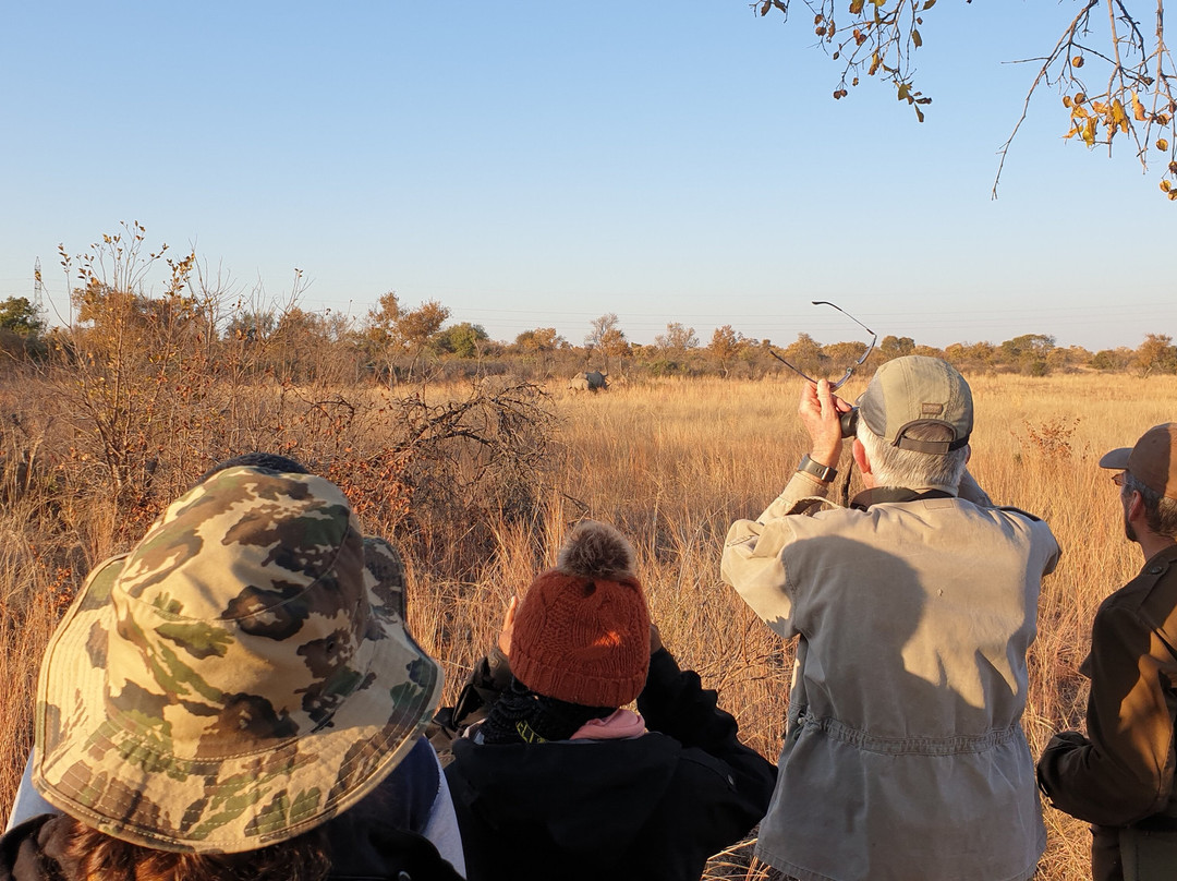Dinokeng Activities
