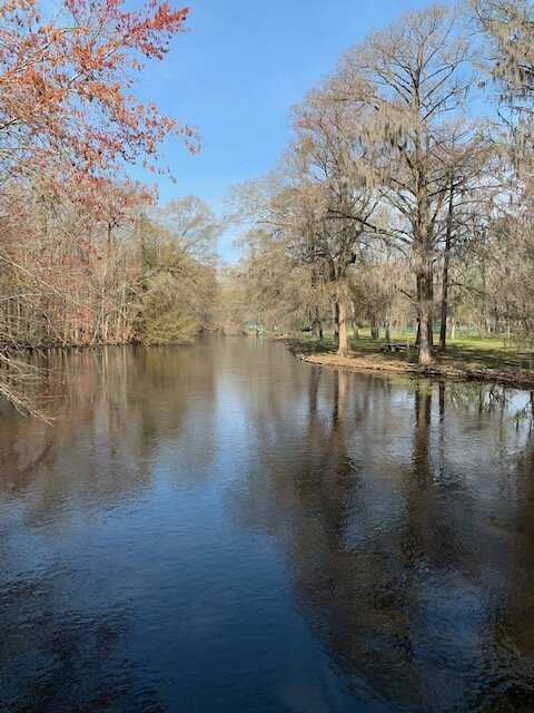 Edisto Memorial Gardens景点图片