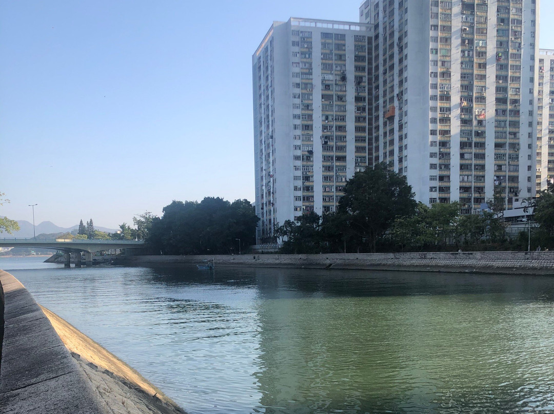 大埔海滨公园-香港必去景点