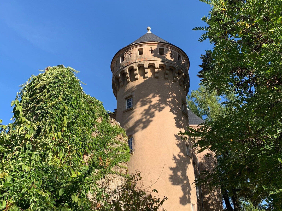 Hôtel Château Du Rey主图