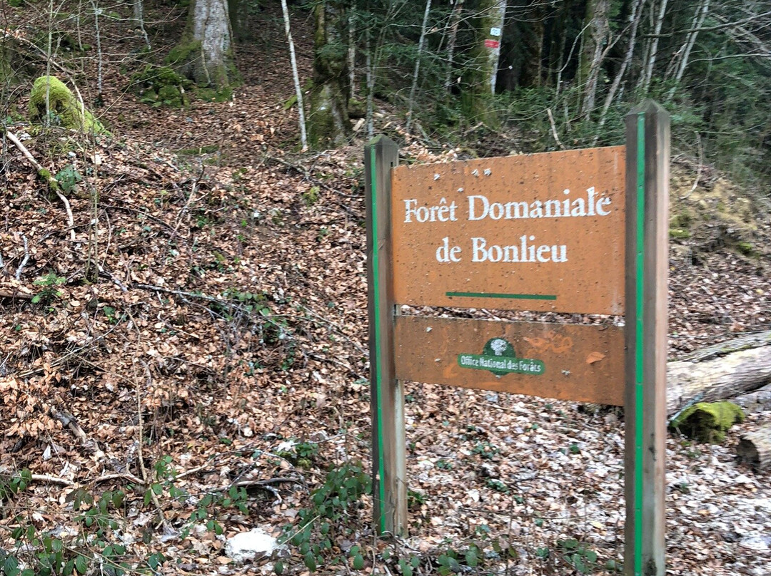 Lac de Bonlieu-Bonlieu必去景点