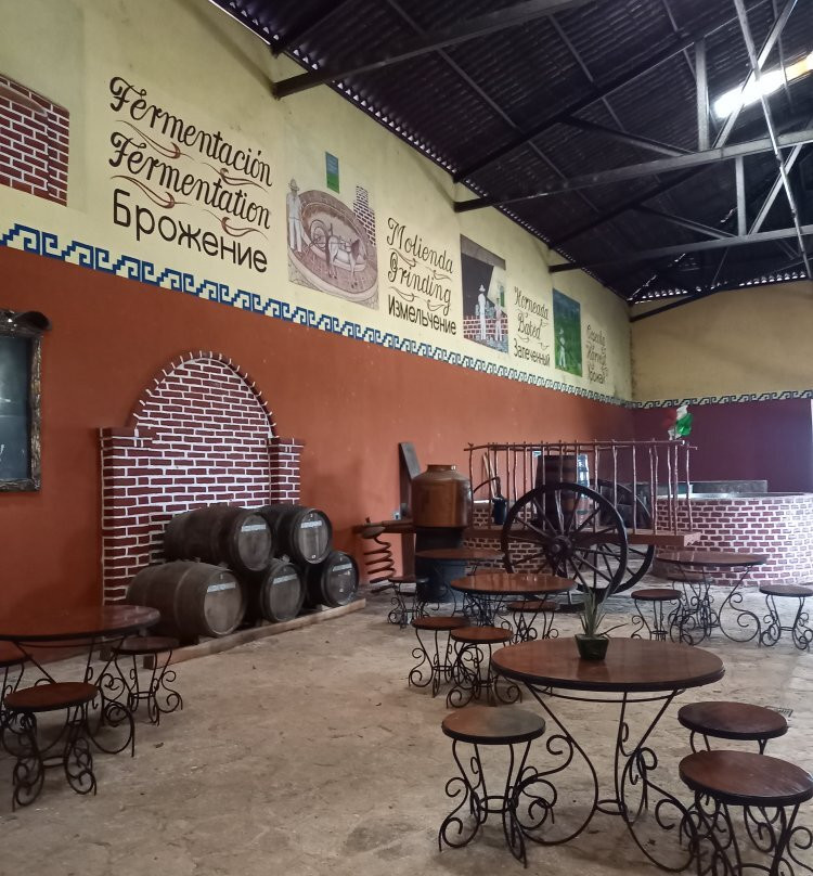 Mayapan Traditional Agave Distillery景点图片