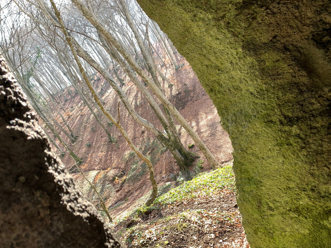 Eremo di San Girolamo-Cura di Vetralla必去景点