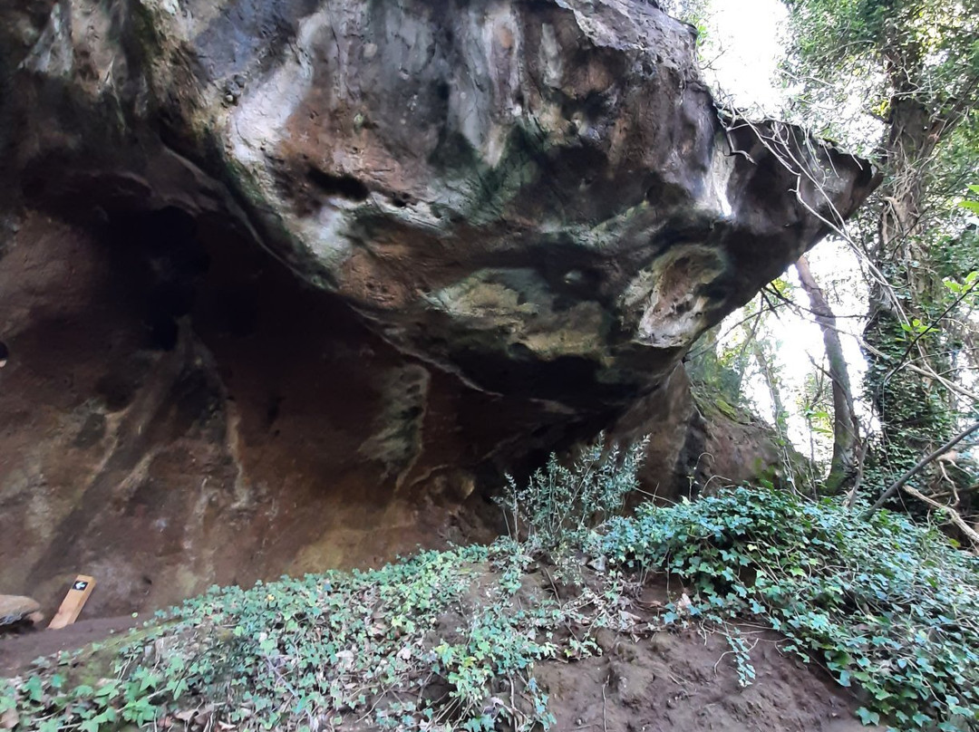 Cuevas de Andina景点图片