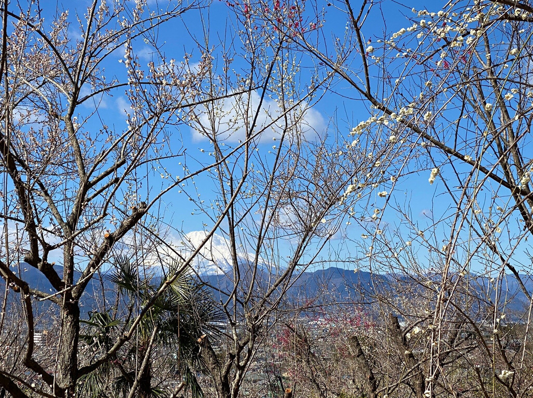 Soga Bessho Bairin景点图片