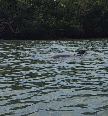 Seaway Outfitters-迈尔斯堡海滩必去景点