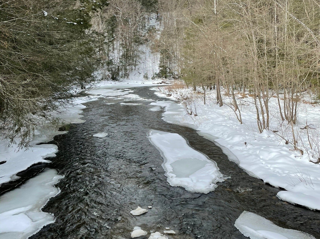 Steep Rock Preserve-Washington Depot必去景点