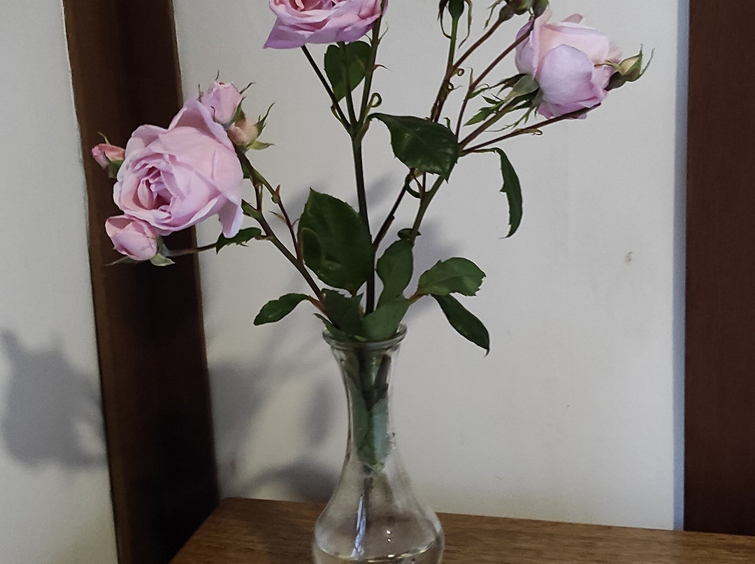 The Patagonian Lodge主图