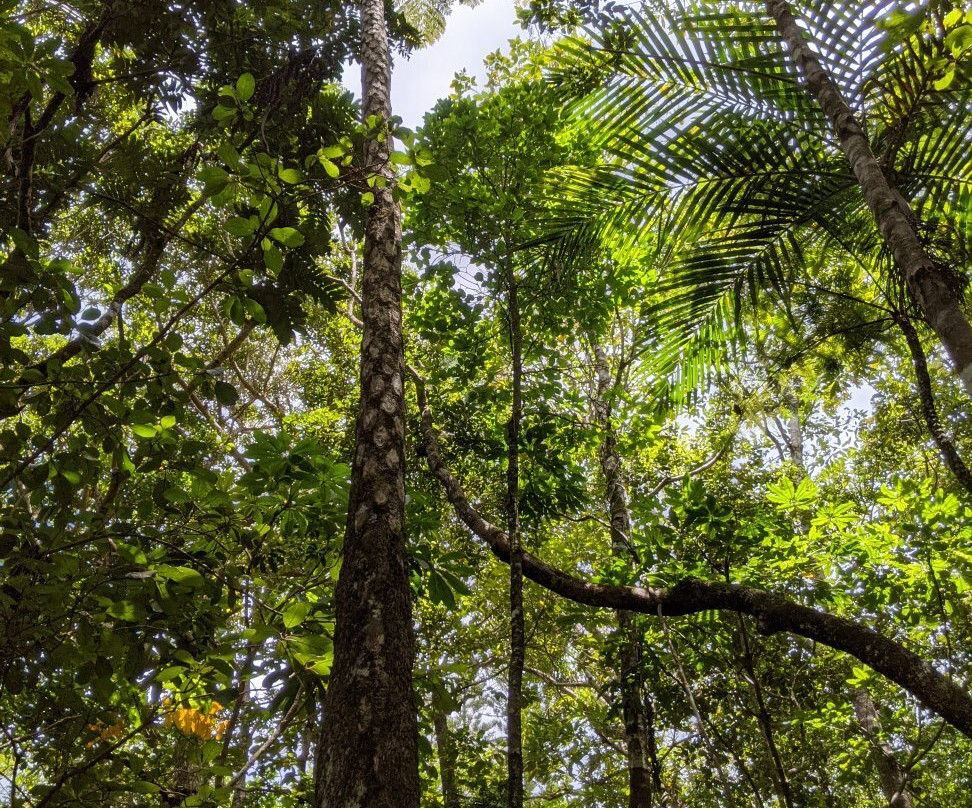 Parc des Grandes Fougères-Farino必去景点